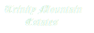 logo-transparent